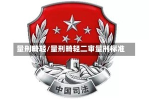 量刑畸轻/量刑畸轻二审量刑标准