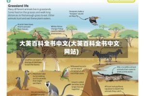 大英百科全书中文(大英百科全书中文网站)