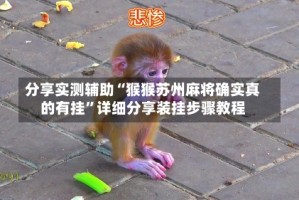 分享实测辅助“猴猴苏州麻将确实真的有挂”详细分享装挂步骤教程