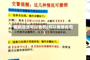 哪些违法可以免罚(可以免除处罚)