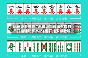 玩家必看教程“禾城麻将有没有挂的”开挂辅助脚本+详细开挂安装教程