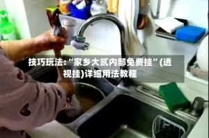 技巧玩法:“家乡大贰内部免费挂”(透视挂)详细用法教程