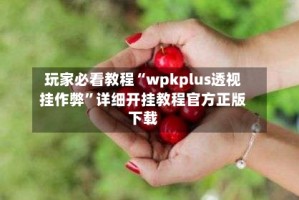 玩家必看教程“wpkplus透视挂作弊”详细开挂教程官方正版下载