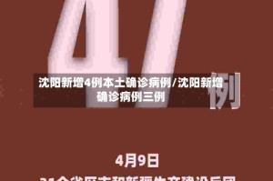 沈阳新增4例本土确诊病例/沈阳新增确诊病例三例