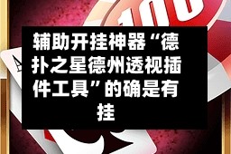 辅助开挂神器“德扑之星德州透视插件工具”的确是有挂