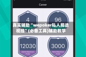 真实辅助“wepoker私人局透视挂”(必备工具)辅助教学