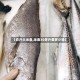 【百斤大米鱼,米鱼30多斤要多少钱】