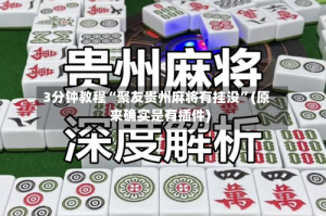 3分钟教程“聚友贵州麻将有挂没”(原来确实是有插件)
