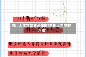 四川大学学院怎么样啊(四川大学学院介绍)