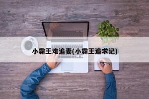 小霸王难追妻(小霸王追求记)