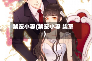 禁宠小妻(禁宠小妻 柒草)