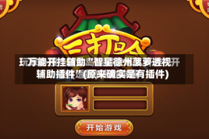 万能开挂辅助“智星德州菠萝透视辅助插件”(原来确实是有插件)