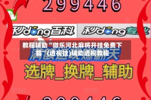 教程辅助“微乐河北麻将开挂免费下载”(透视挂)辅助透视教程
