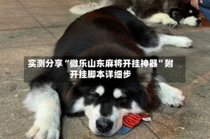 实测分享“微乐山东麻将开挂神器”附开挂脚本详细步