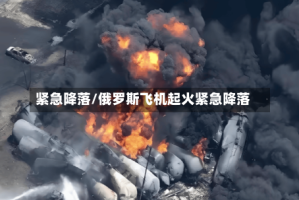 紧急降落/俄罗斯飞机起火紧急降落