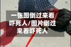 一张图倒过来看吓死人/图片倒过来看吓死人