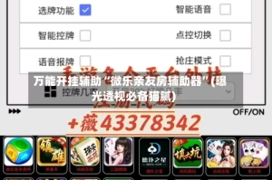 万能开挂辅助“微乐亲友房辅助器”(曝光透视必备猫腻)