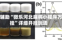 实测辅助“微乐河北麻将小程序万能挂”详细开挂玩法