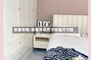卧室衣柜/卧室衣柜尺寸标准尺寸图