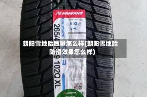 朝阳雪地胎质量怎么样(朝阳雪地胎防滑效果怎么样)