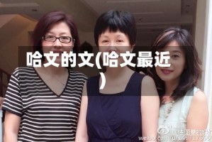 哈文的文(哈文最近)