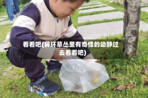 看看吧(异环草丛里有奇怪的动静过去看看吧)