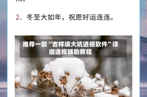 推荐一款“吉祥填大坑透视软件”详细透视辅助教程