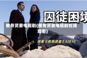 傲骨贤妻电视剧(傲骨贤妻电视剧在线观看)