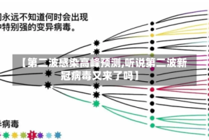 【第二波感染高峰预测,听说第二波新冠病毒又来了吗】