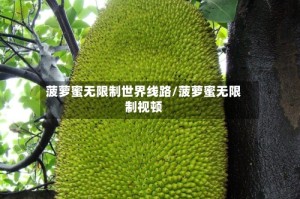 菠萝蜜无限制世界线路/菠萝蜜无限制视顿