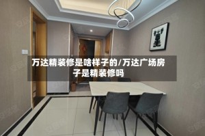 万达精装修是啥样子的/万达广场房子是精装修吗