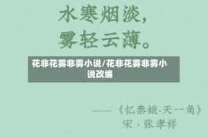 花非花雾非雾小说/花非花雾非雾小说改编