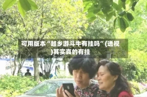 可用版本“越乡游斗牛有挂吗”(透视)其实真的有挂