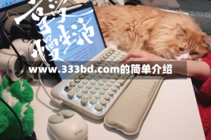 www.333bd.com的简单介绍