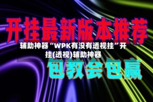 辅助神器“WPK有没有透视挂”开挂(透视)辅助神器