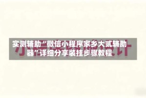 实测辅助“微信小程序家乡大贰辅助器”详细分享装挂步骤教程