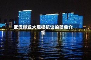 武汉爆发大规模抗议的简单介绍
