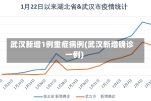 武汉新增1例重症病例(武汉新增确诊一例)