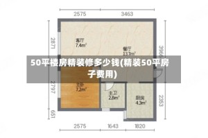 50平楼房精装修多少钱(精装50平房子费用)