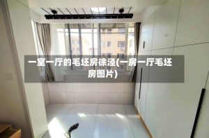一室一厅的毛坯房徐泾(一房一厅毛坯房图片)