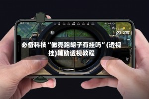 必备科技“微壳跑胡子有挂吗”(透视挂)辅助透视教程