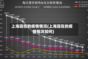 上海现在的疫情情况(上海现在的疫情情况如何)