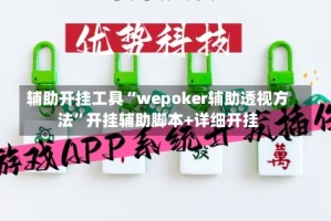 辅助开挂工具“wepoker辅助透视方法”开挂辅助脚本+详细开挂