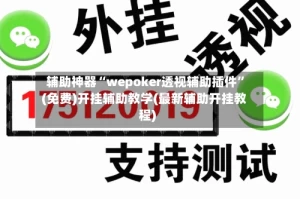 辅助神器“wepoker透视辅助插件”(免费)开挂辅助教学(最新辅助开挂教程)