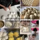 大东门疫情/大东门社区居委会电话
