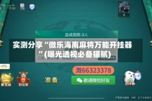 实测分享“微乐海南麻将万能开挂器”(曝光透视必备猫腻)