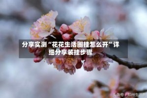 分享实测“花花生活圈挂怎么开”详细分享装挂步骤