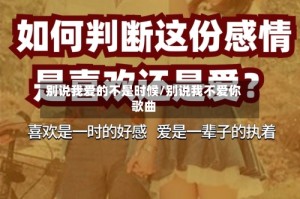 别说我爱的不是时候/别说我不爱你歌曲