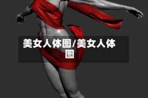 美女人体图/美女人体图