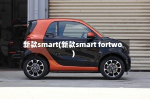 新款smart(新款smart fortwo)
